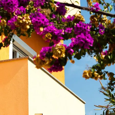 Orange *